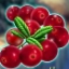 Winterberries Сurrant